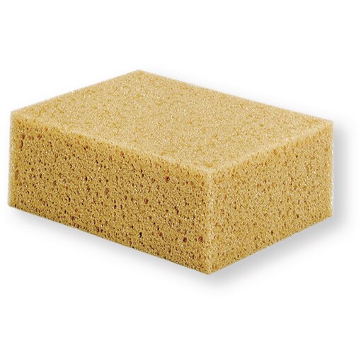 Sponge all-purpose